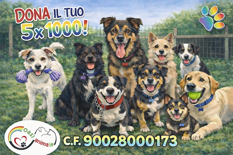 Foto per la storia Eventi