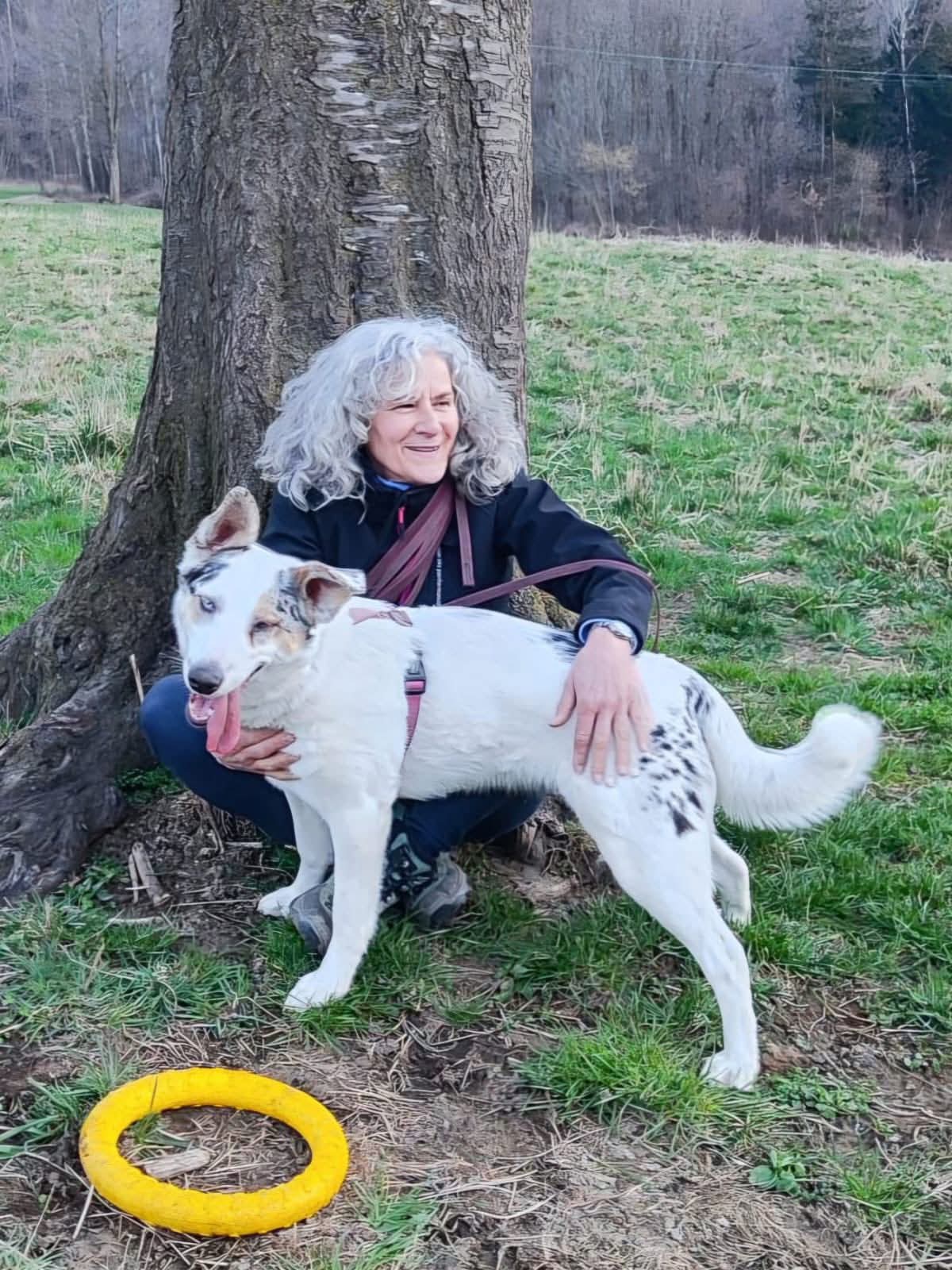 Foto per la storia Arya è stata adottata!