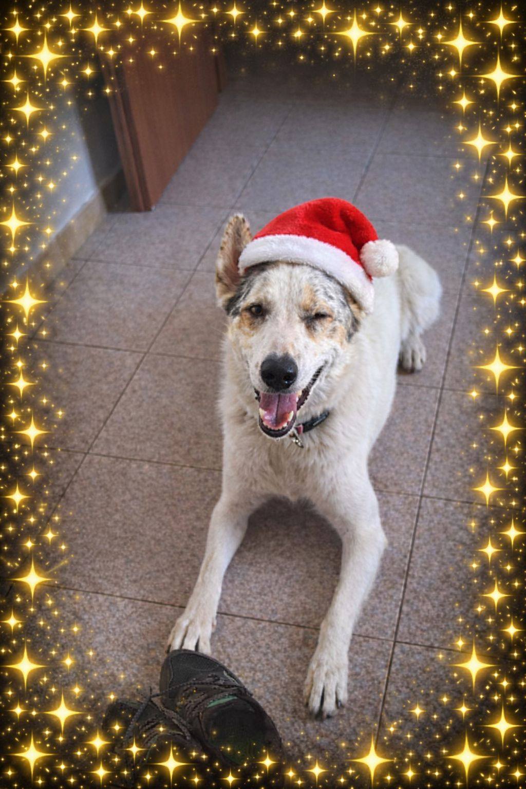 Foto di Tanti Auguri!