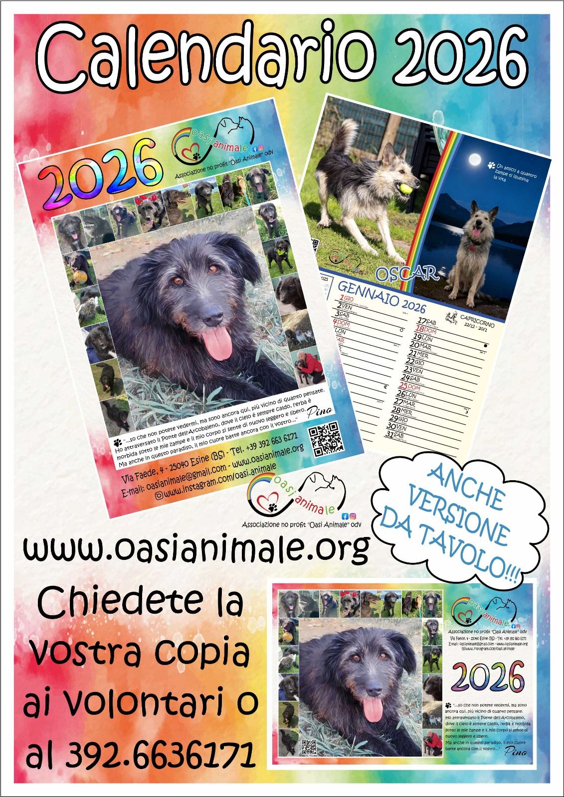 Foto per la storia Eventi