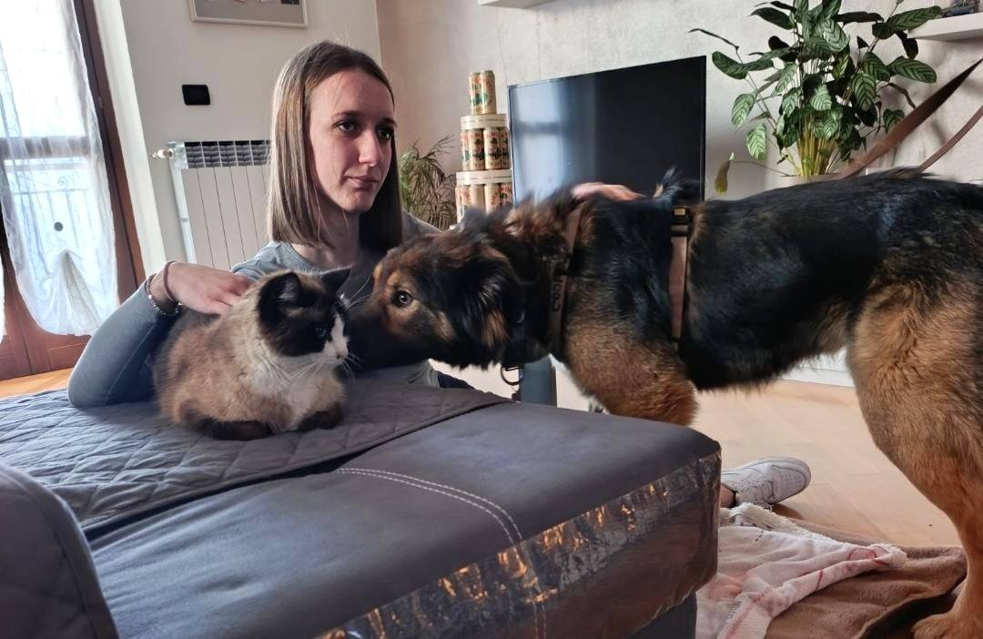 Foto di Cooper è stato adottato!