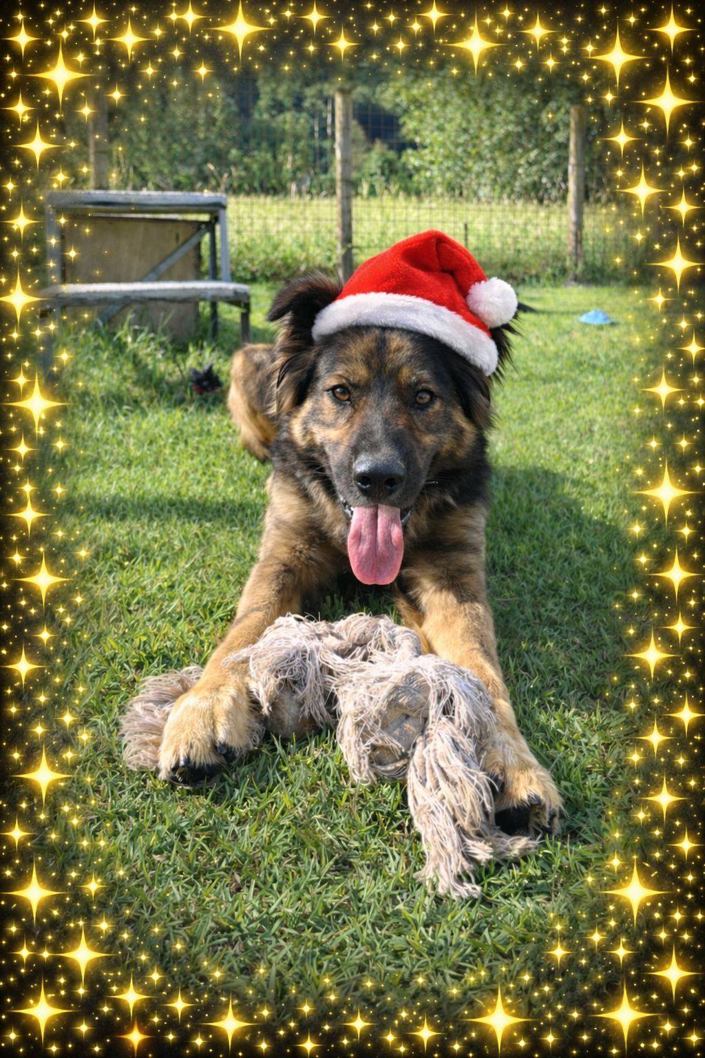 Foto di Tanti Auguri!