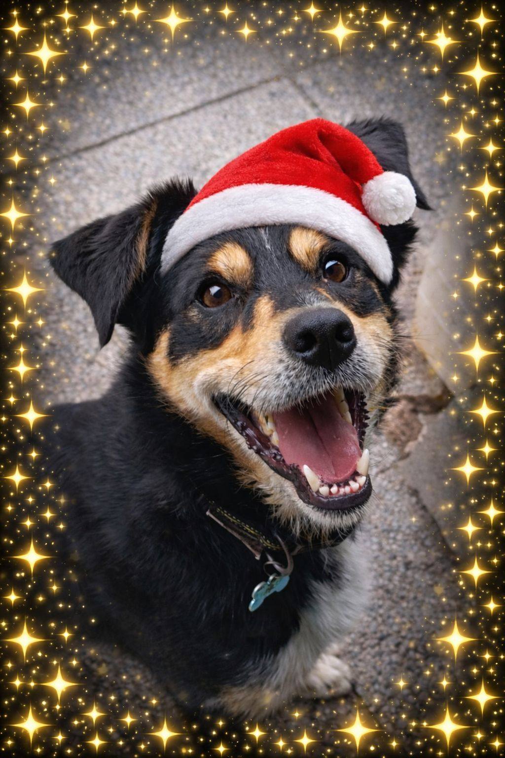 Foto di Tanti Auguri!