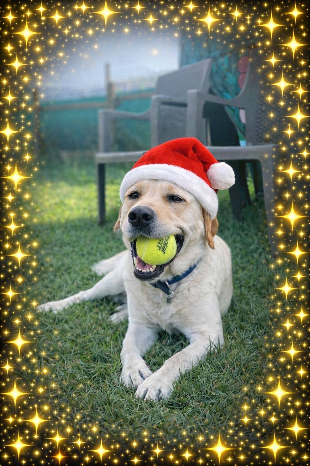 Foto per la storia Storie dal Rifugio