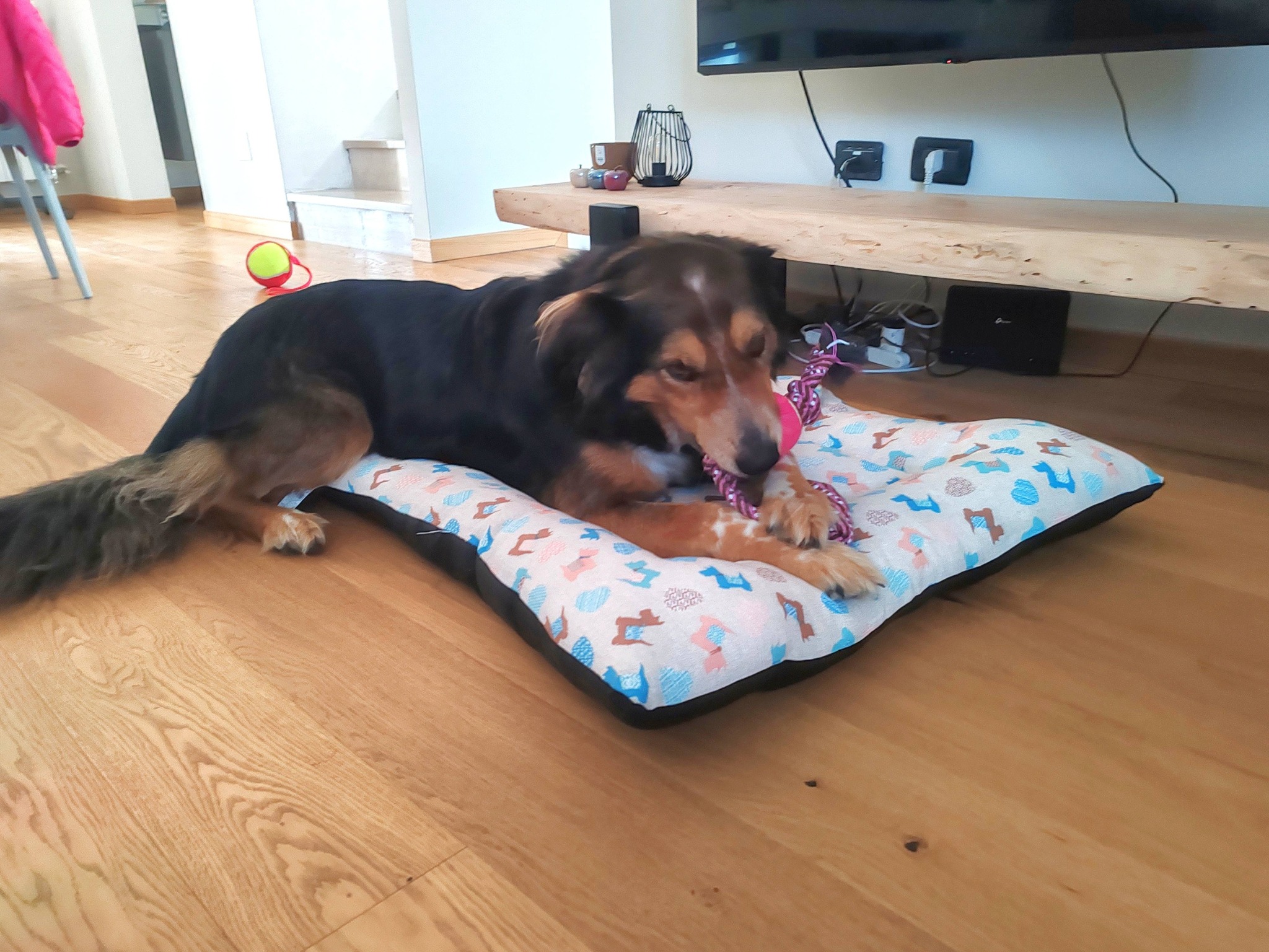 Foto per la storia Storie dal Rifugio