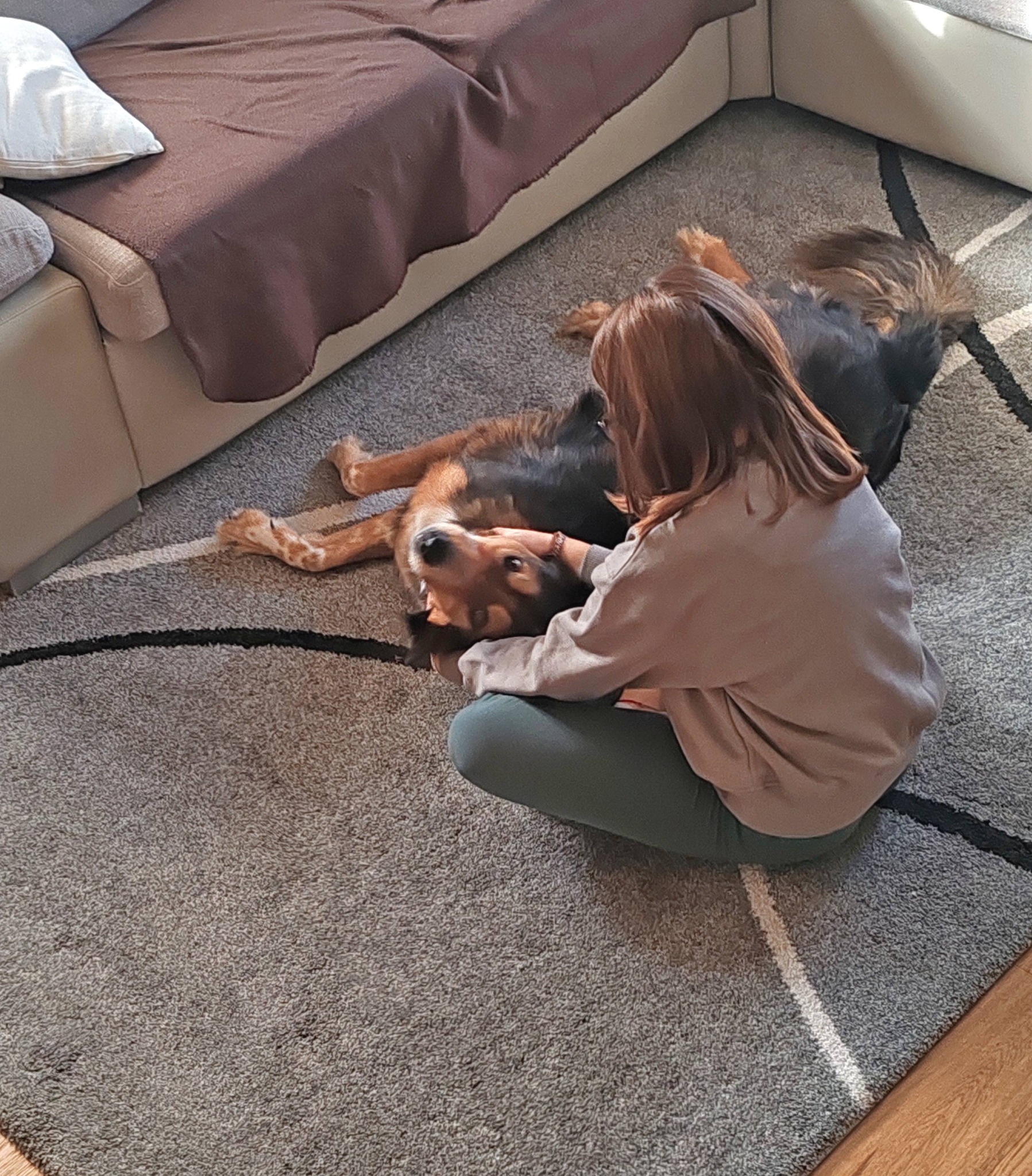 Foto di Sally è stata adottata!