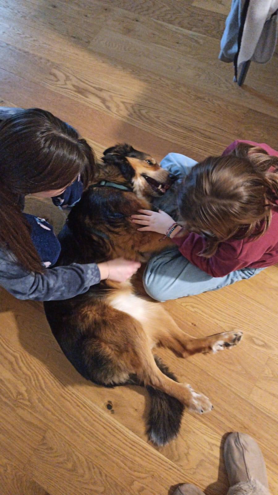 Foto di Sally è stata adottata!