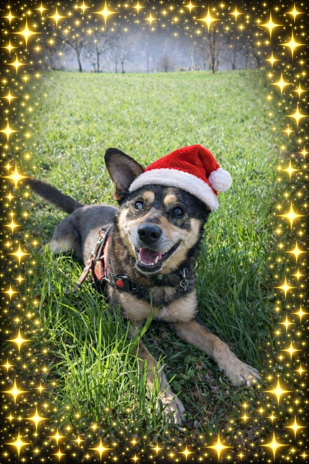 Foto di Tanti Auguri!